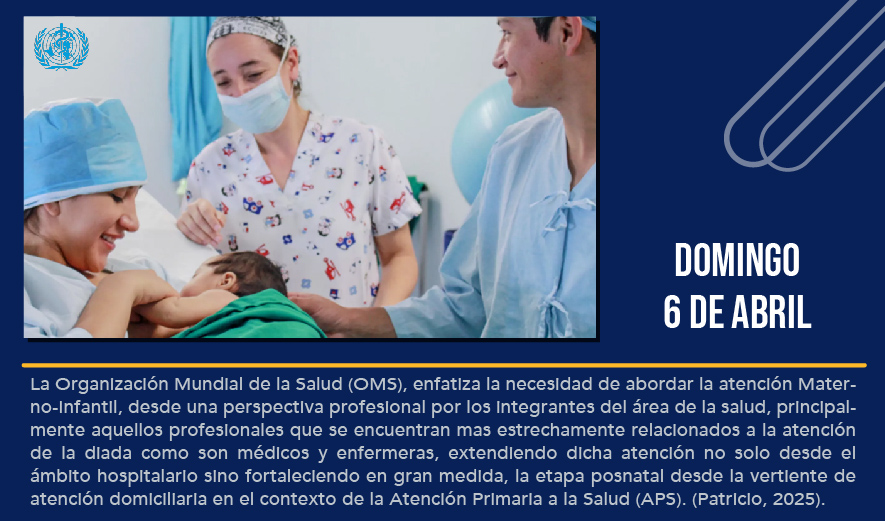 CIEES fortalece la certificación de sus pares evaluadores con el respaldo del CONOCER